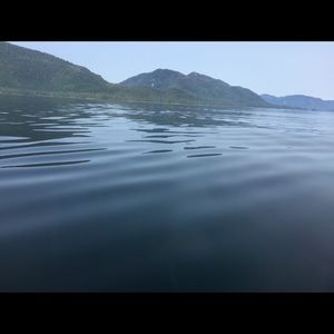 Meet your Posher, Lucille